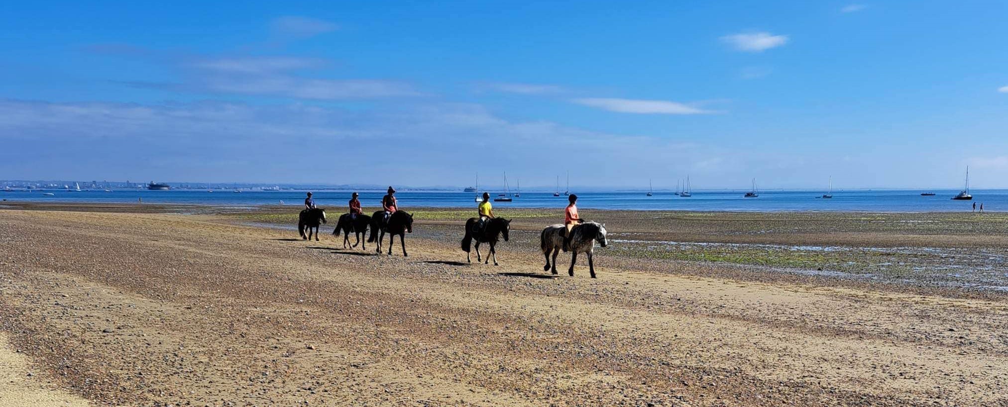 Sallys Riding School