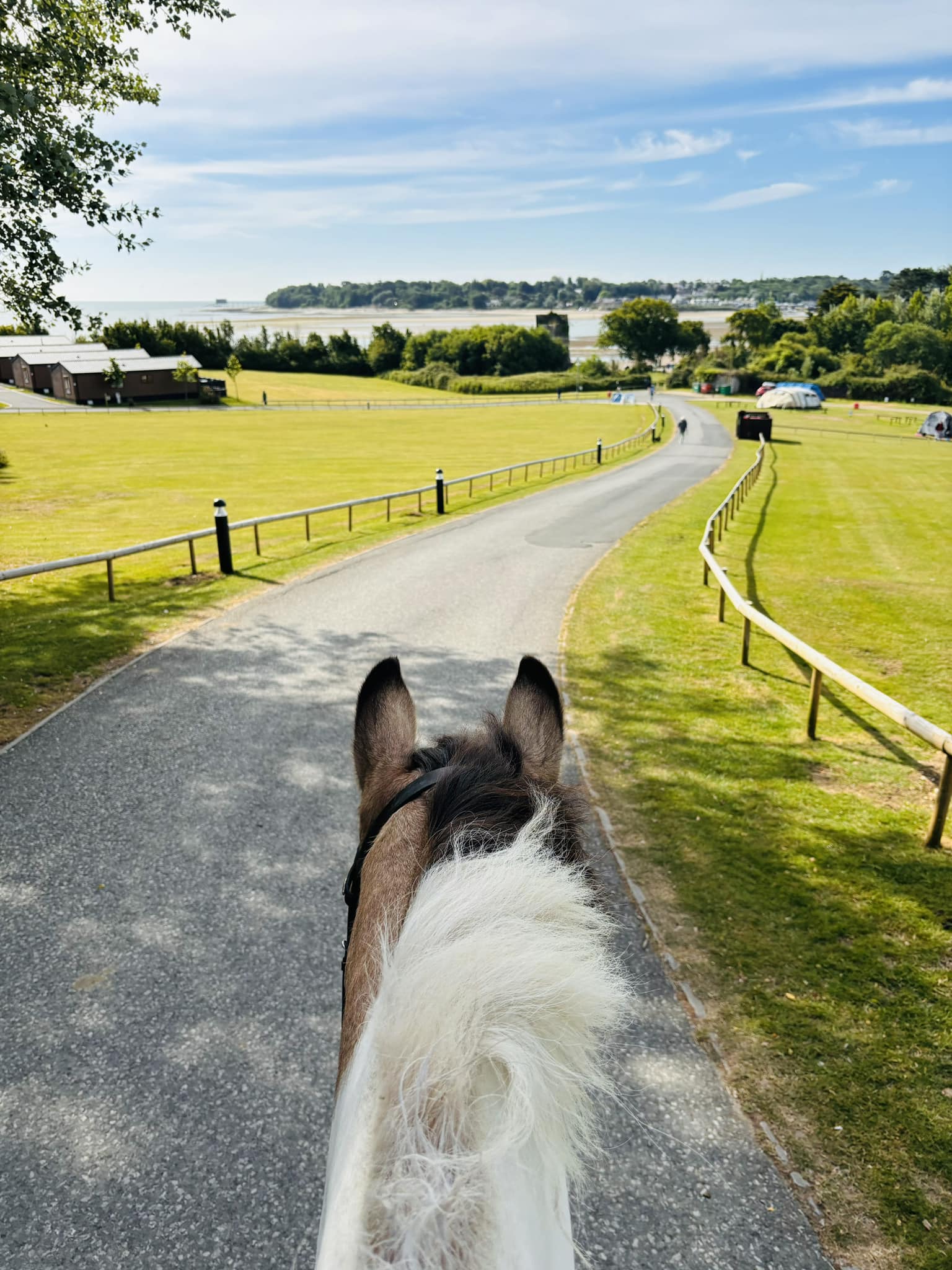 Sallys Riding School