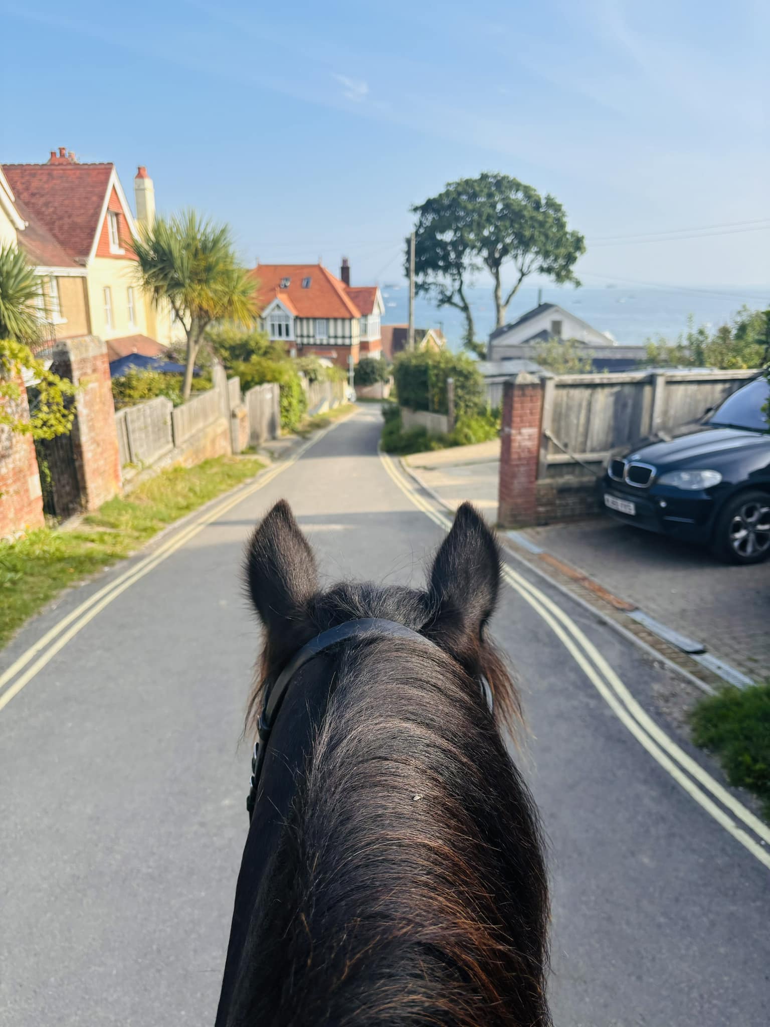 Sallys Riding School