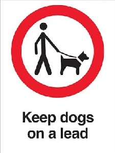 Dogs MUST be on leads/tethered at ALL times!